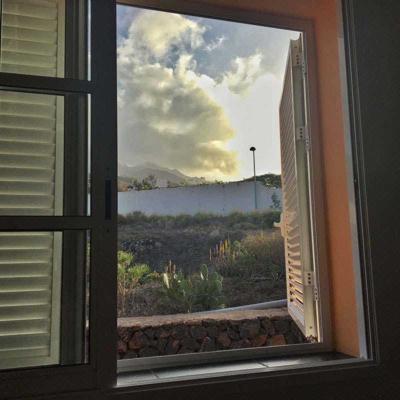 der BLick aus dem Fenster beim Aufwachen .... Wolken, südländische Pflanzen... Sonne..